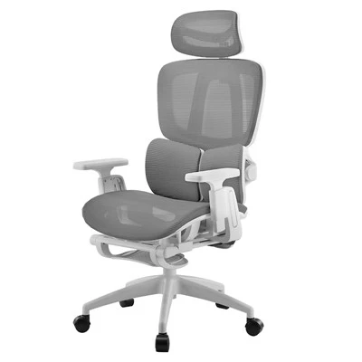 Lying-down Grid Office Chair