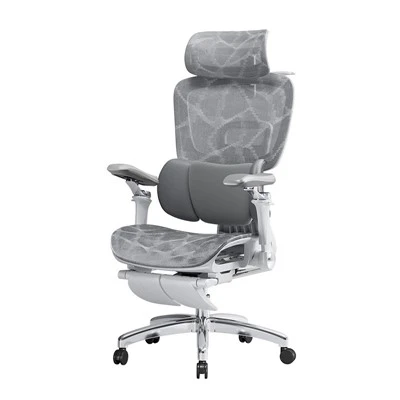 Ergonomic Grid Office Chair