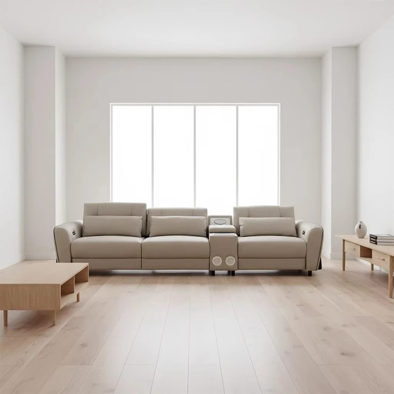 Stretchable Functional Sofa price